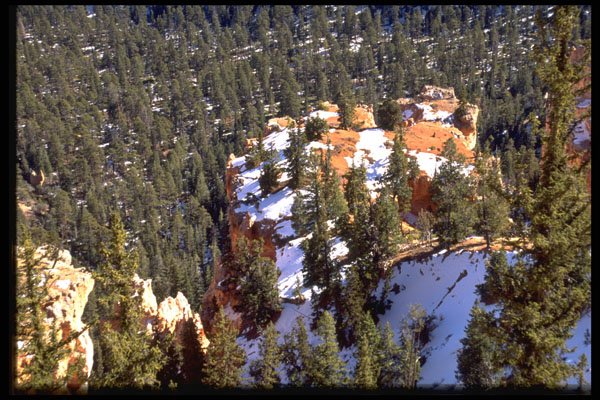 316044 Cliff Top, Bryce Canyon A4 Photo Print