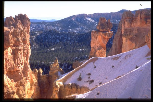 316054 Snow Bridges A4 Photo Print