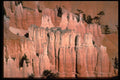 316056 Wolves Teeth A4 Photo Print