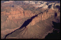316058 Fins A4 Photo Print