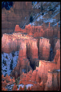 316066 Nature's Teeth A4 Photo Print
