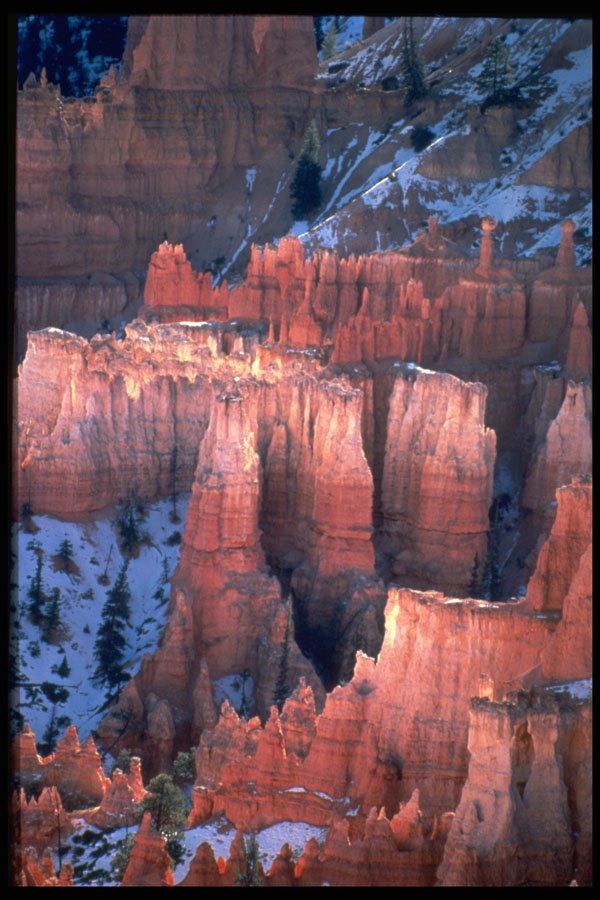 316066 Nature's Teeth A4 Photo Print