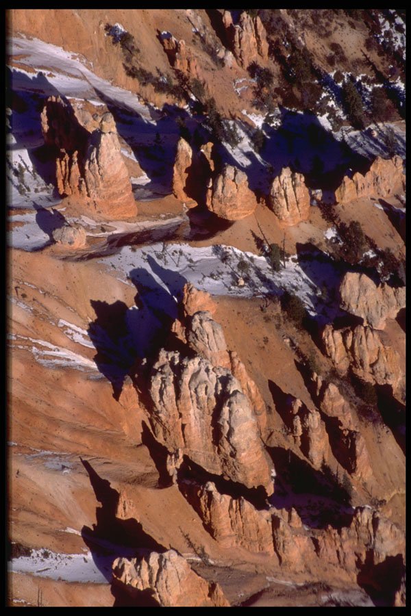 316068 Vertical View A4 Photo Print