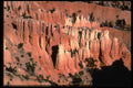316076 Orange And White A4 Photo Print