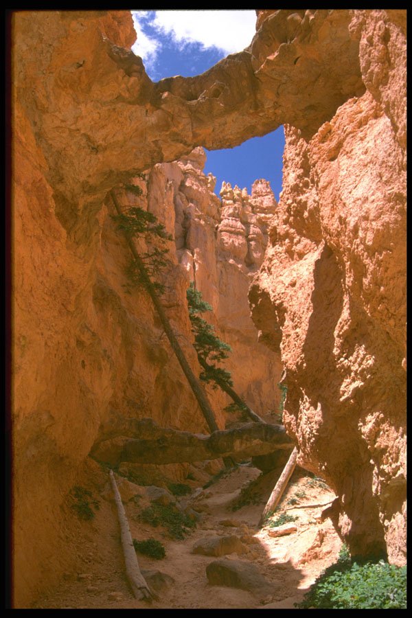 316084 Arches Of Stone A4 Photo Print