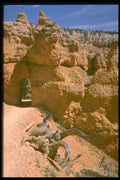 316086 Driftwood A4 Photo Print