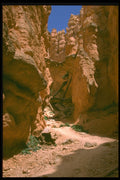316090 The Walls Tower Over A4 Photo Print