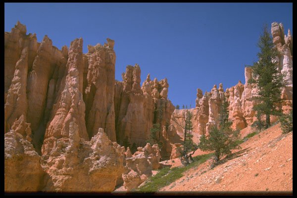 316091 Spectacular Color A4 Photo Print