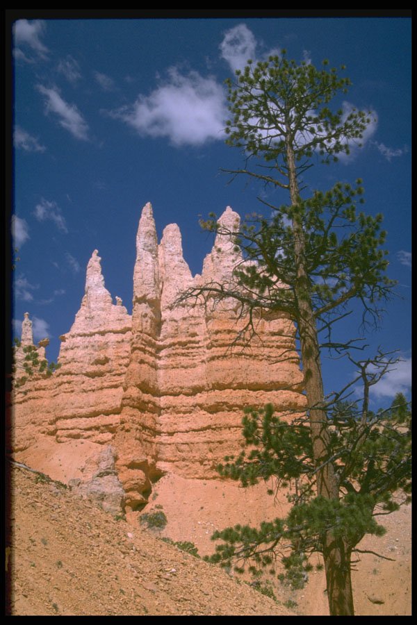 316092 Layered Color A4 Photo Print