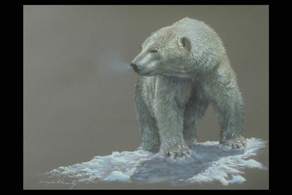 319001 Polar Bear Study A4 Photo Print