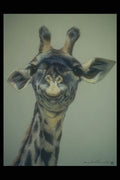 319002 Laughing Giraffe A4 Photo Print