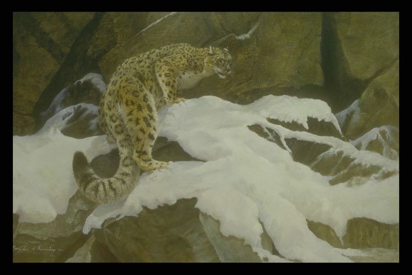 319006 Himalayan Snow A4 Photo Print