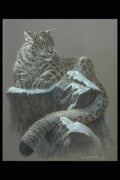319007 Snow Leopard Study A4 Photo Print