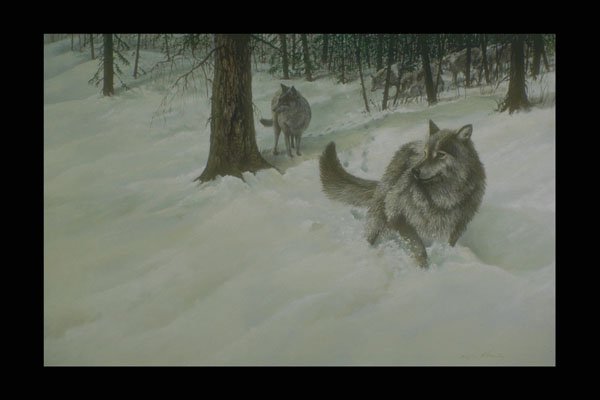 319008 The Wild North, Wolves A4 Photo Print