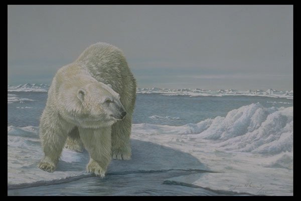 319015 Polar Ice Flow A4 Photo Print