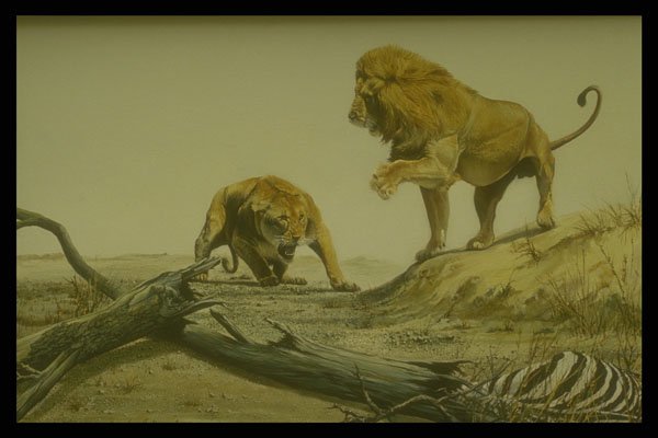 319030 Me First, Lions A4 Photo Print