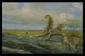 319032 The Serengeti, Cheetah A4 Photo Print