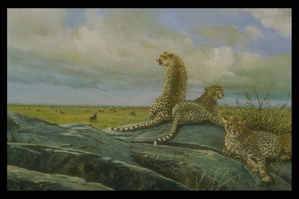 319032 The Serengeti, Cheetah A4 Photo Print