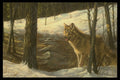 319034 Northern Timber Wolf A4 Photo Print