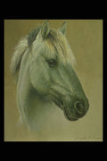 319035 Arabian (head Study) A4 Photo Print