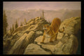 319038 The High Country, Cougar A4 Photo Print