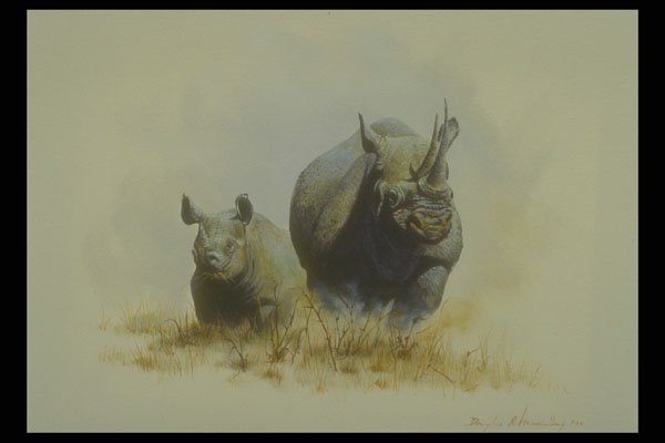 319043 Mother And Son, Rhinoceros A4 Photo Print