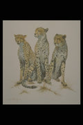 319048 The Three Graces, Cheetahs A4 Photo Print