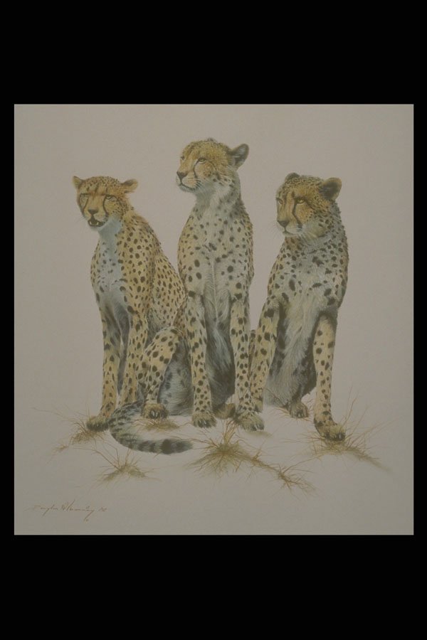 319048 The Three Graces, Cheetahs A4 Photo Print