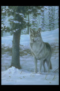 319050 I Come In Peace, Wolf A4 Photo Print