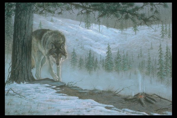 319053 Playing It Safe, Timber Wolf A4 Photo Print