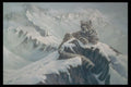319055 Spirit Of The Mountains, Snow Leopard A4 Photo Print