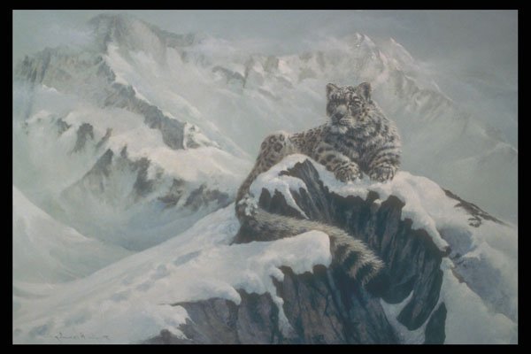 319055 Spirit Of The Mountains, Snow Leopard A4 Photo Print