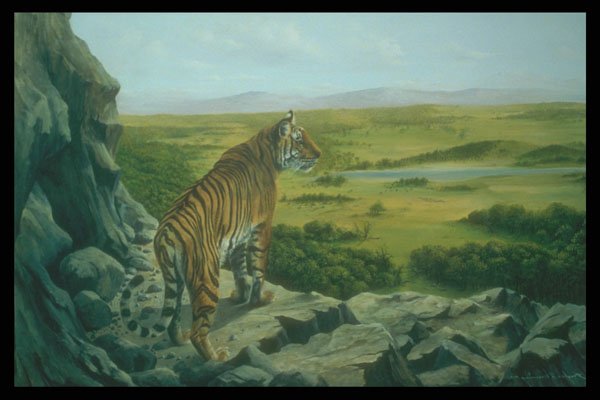 319063 Above The Tree Tops, Bengal Tiger A4 Photo Print