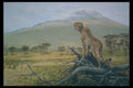 319065 Spotted Sentinel, Cheetah A4 Photo Print
