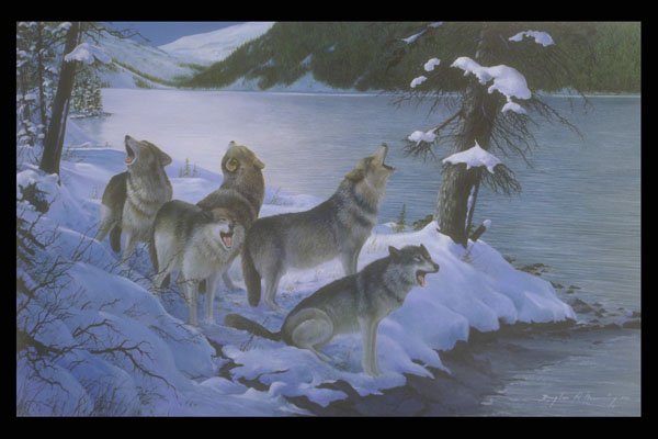 319068 Wolf Song, Wolves A4 Photo Print