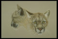 319069 Soul Mates, Cougars A4 Photo Print