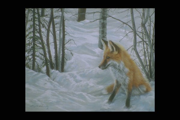 319074 Winter Woods, Fox A4 Photo Print