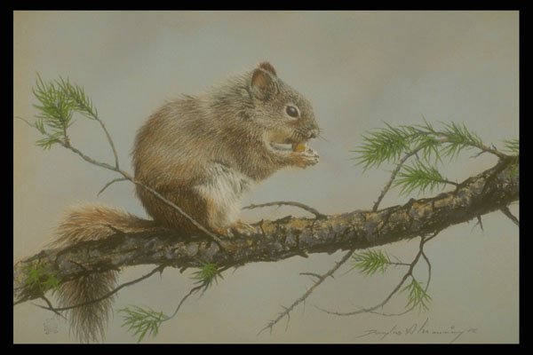 319078 Lunch Time, Squirrel A4 Photo Print