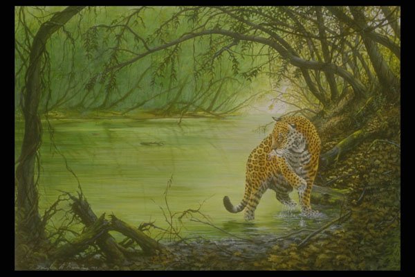 319081 Deep In The Woods, Jaguar A4 Photo Print