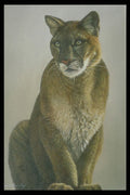 319088 Cougar Study A4 Photo Print