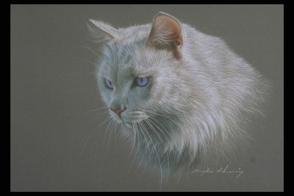 319092 Fluffy A4 Photo Print