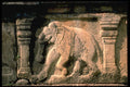 321081 Polonnaruwa, Sri Lanka A4 Photo Print