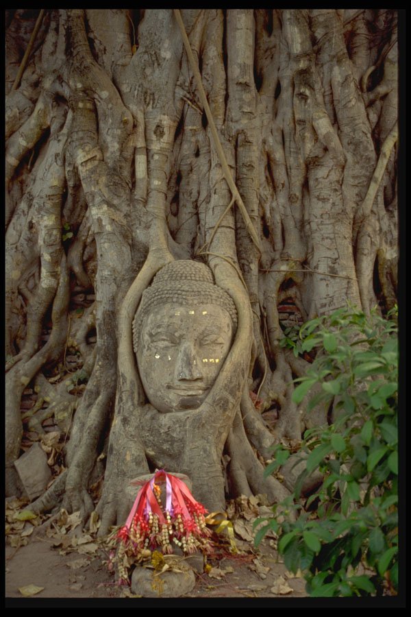 321089 Ayuttaya, Thailand A4 Photo Print