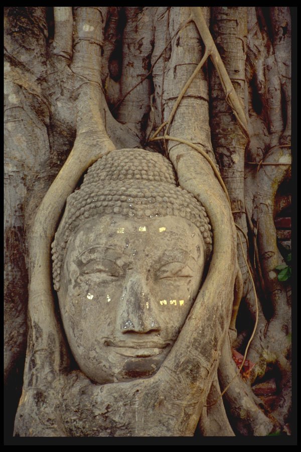 321090 Ayuttaya, Thailand A4 Photo Print