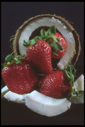 322000 Strawberry Coconut A4 Photo Print