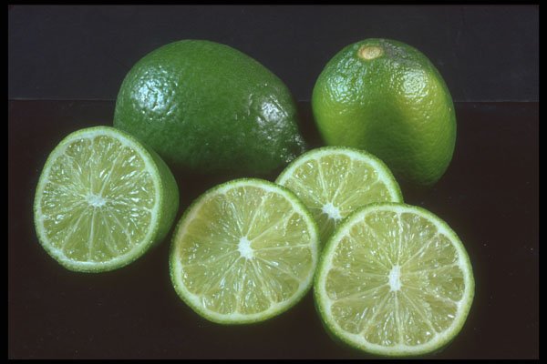 322002 Lime A4 Photo Print