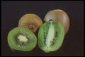 322004 Kiwi Quartet A4 Photo Print