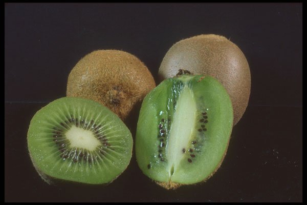 322004 Kiwi Quartet A4 Photo Print
