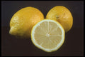 322005 Lemon A4 Photo Print