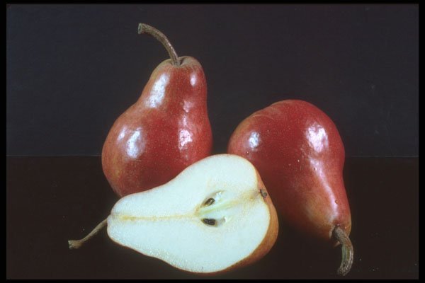322007 Red Pear A4 Photo Print